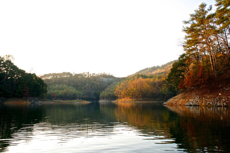 _DSC2704.jpg