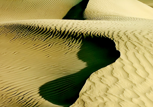 u5342515_131e2056813g215.jpg