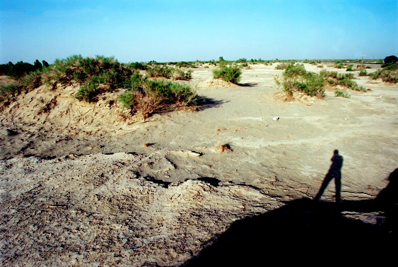 01.jpg