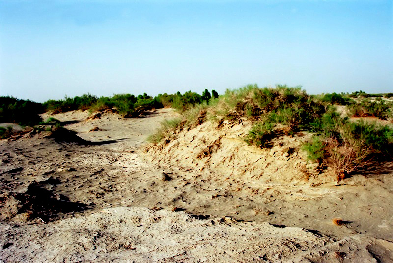 02.jpg