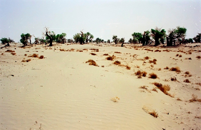 04.jpg