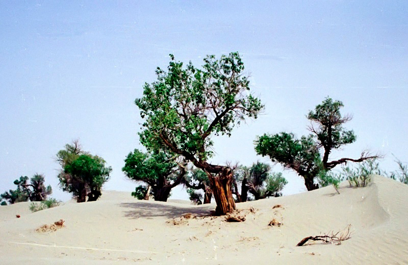 06.jpg