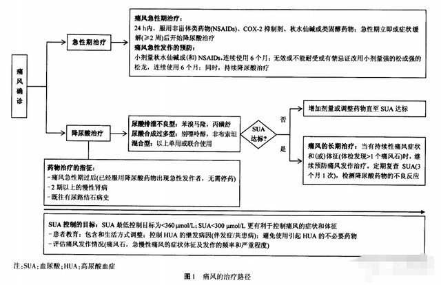 高尿酸血症痛风治疗专家共识3.jpg