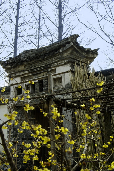 IMGP7481.jpg
