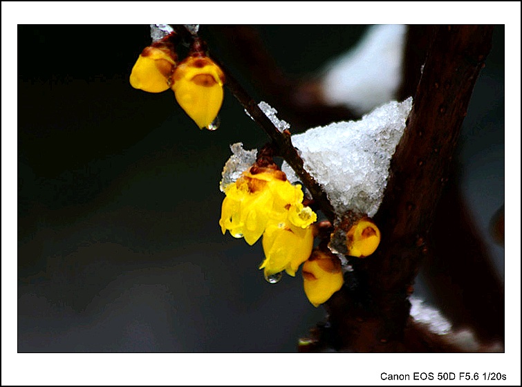 IMG_9596_副本_conew1.jpg
