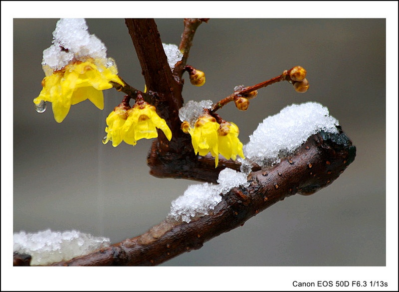 IMG_9602_副本_conew1.jpg