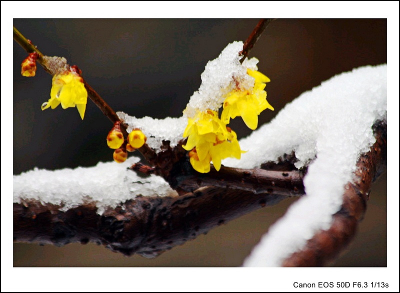 IMG_9600_副本_conew1.jpg