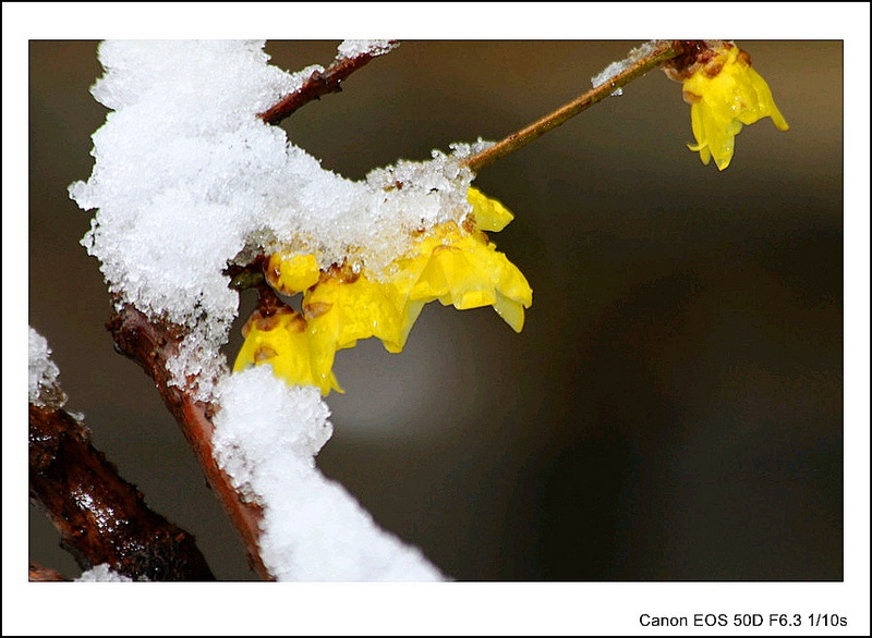 IMG_9604_副本_conew1.jpg