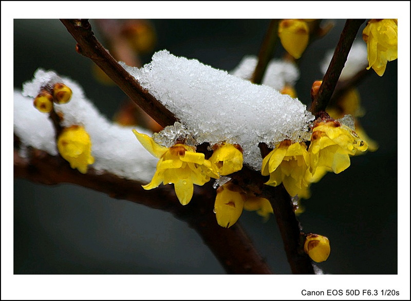 IMG_9613_副本_conew1.jpg