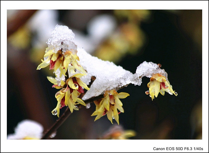 IMG_9625_副本_conew1.jpg