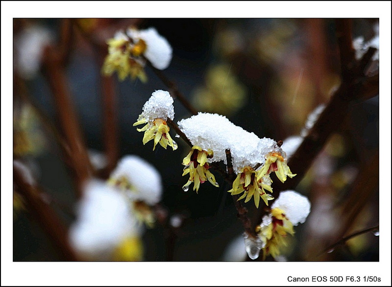 IMG_9628_副本_conew1.jpg