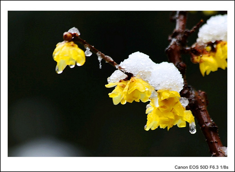 复件 IMG_9597_副本_conew1.jpg