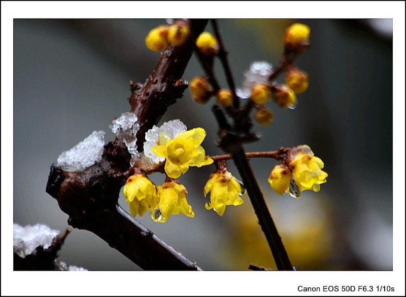 复件 IMG_9614_副本_conew1.jpg
