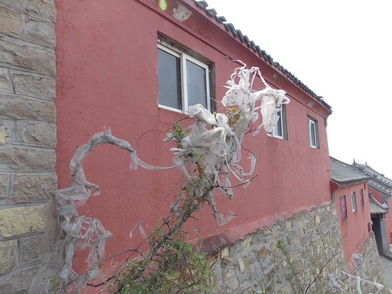 DSCN3114.JPG