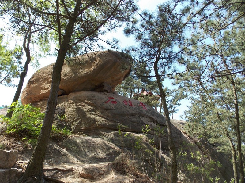 DSCN3143.JPG
