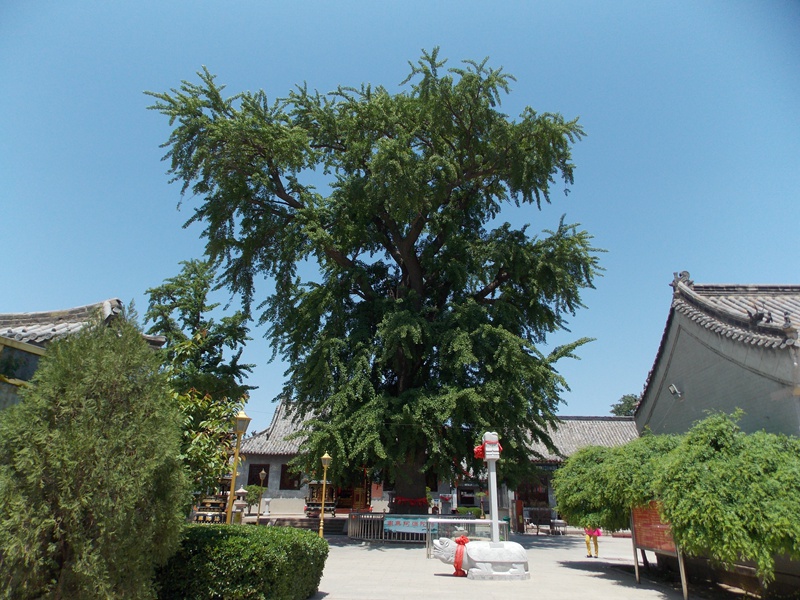 DSCN3187.JPG