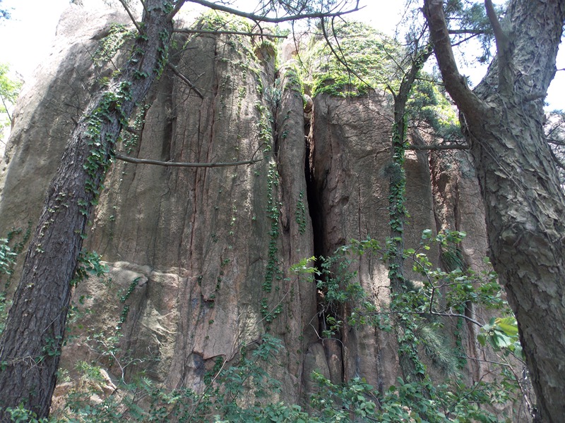 DSCN3426.jpg