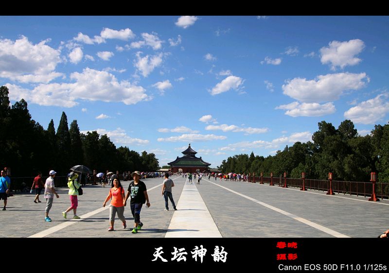 IMG_4626_conew1_副本_副本.jpg