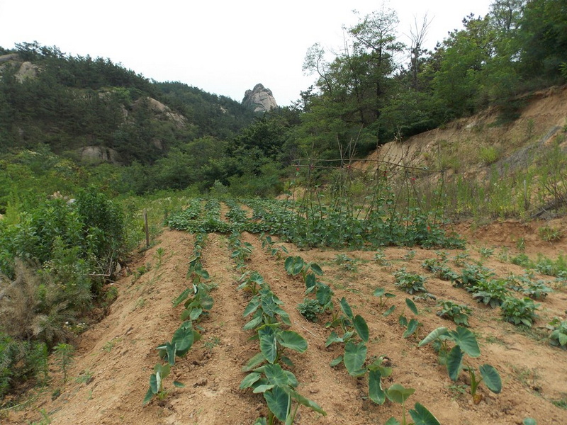 DSCN4043 远处的山峰像弥勒佛吗_副本.jpg