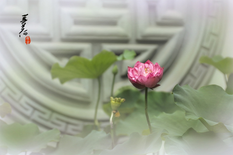 IMGP3870.jpg