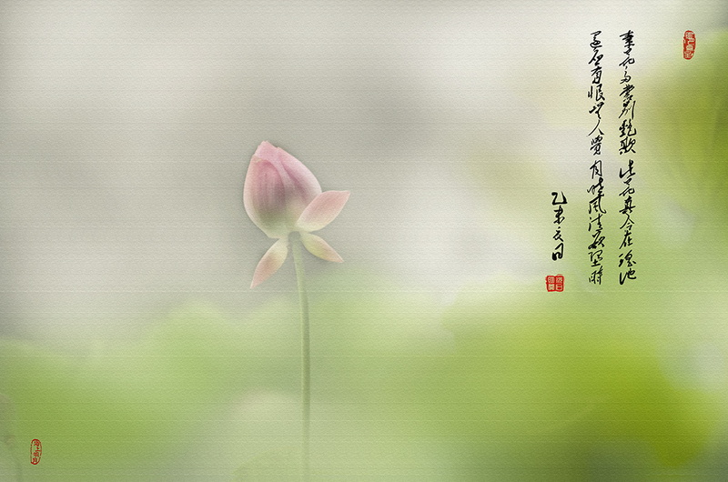 IMGP3906.jpg