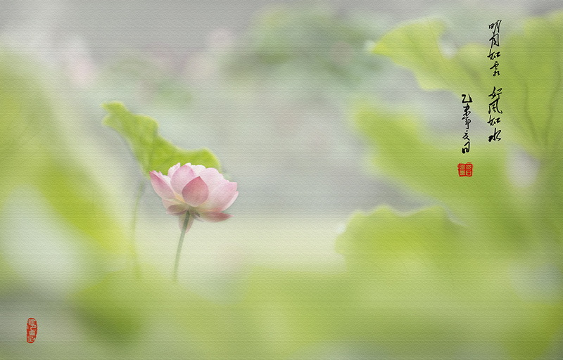 IMGP3908.jpg