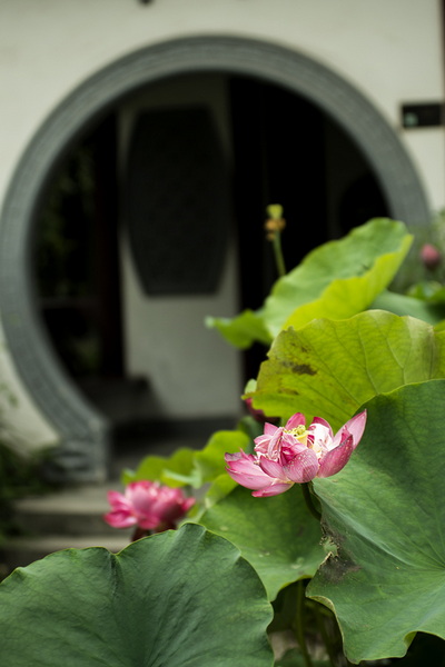 IMGP3808.jpg