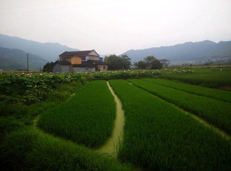 IMG_20150715_102029_副本_副本.jpg