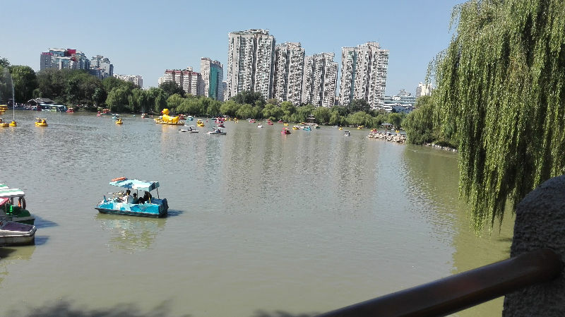 IMG_20150919_104250.jpg