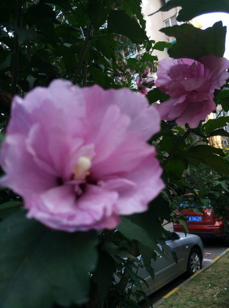 IMG_20150916_172631.jpg