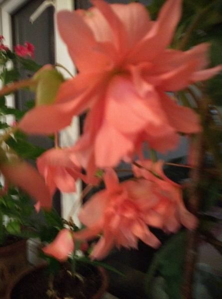 IMG_20150919_204113_BURST1.jpg