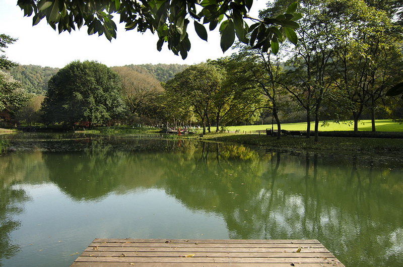 IMGP8575.jpg