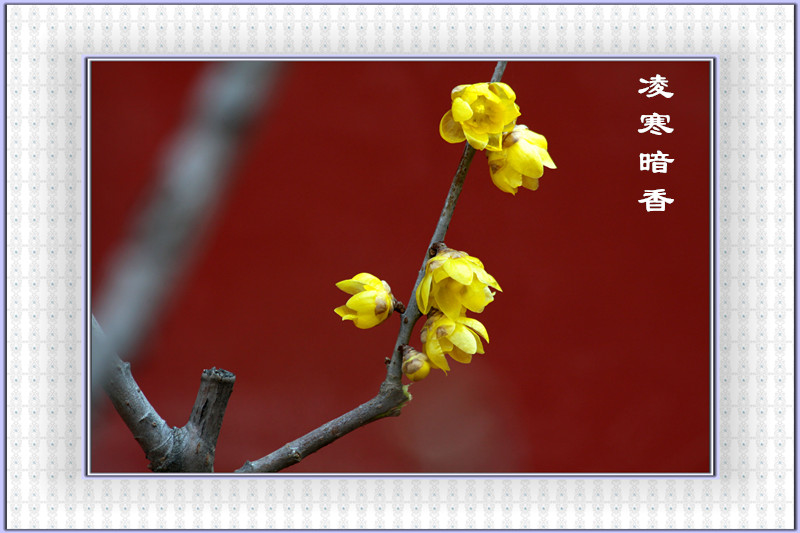 IMG_0486_副本.jpg