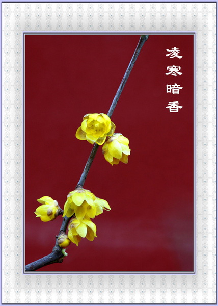 IMG_0483_副本.jpg