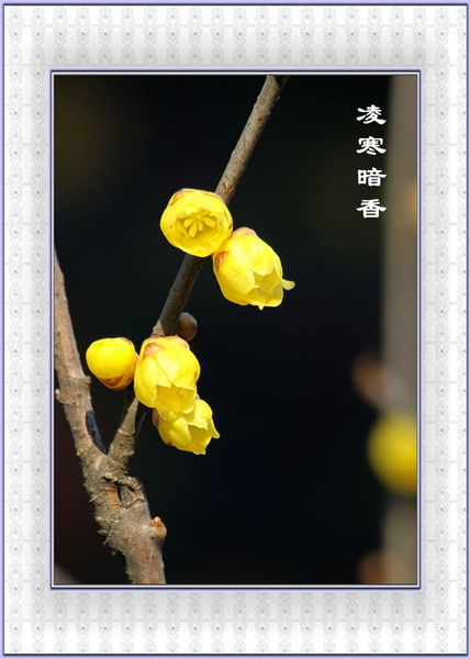 IMG_0489_副本.jpg