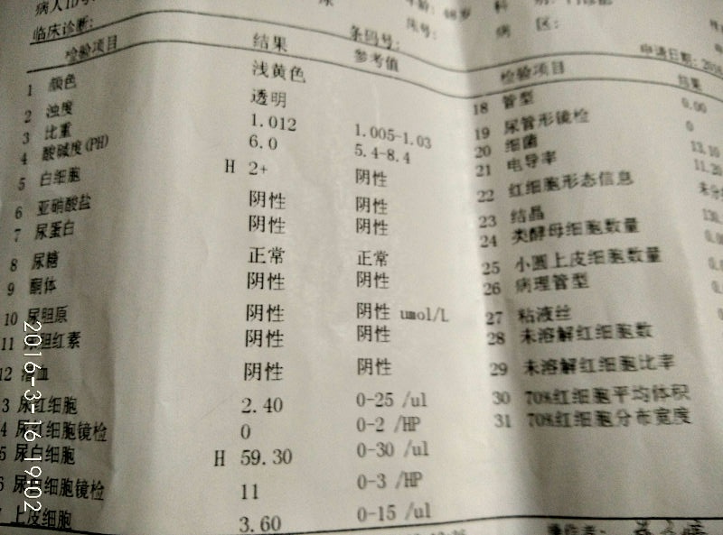 115667