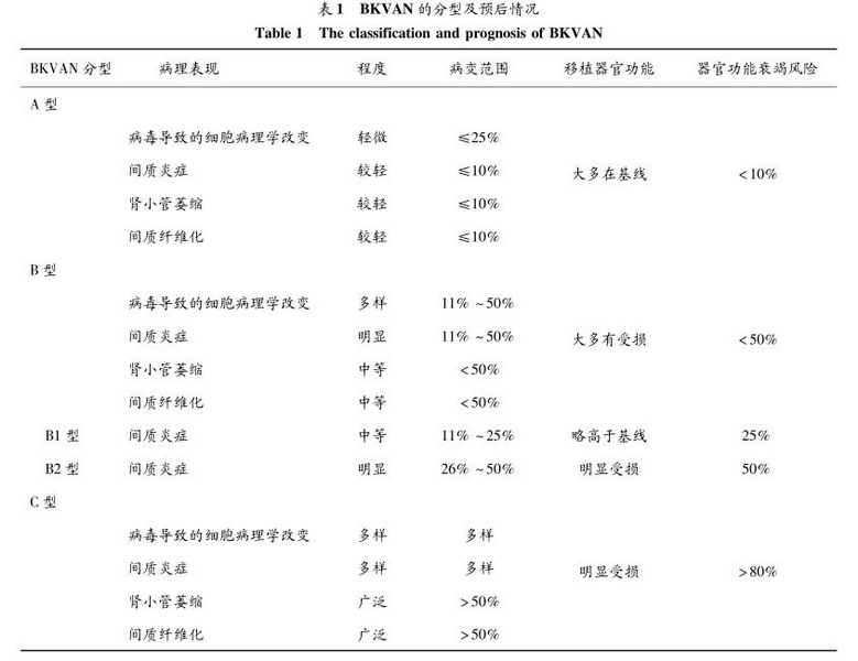肾移植术后BK病毒相关性肾病的临床诊治研究进展 2.jpg