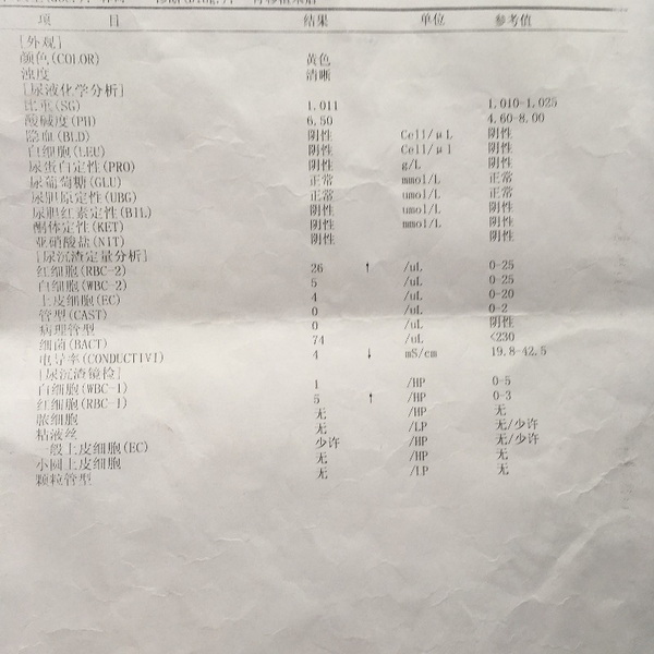 115861