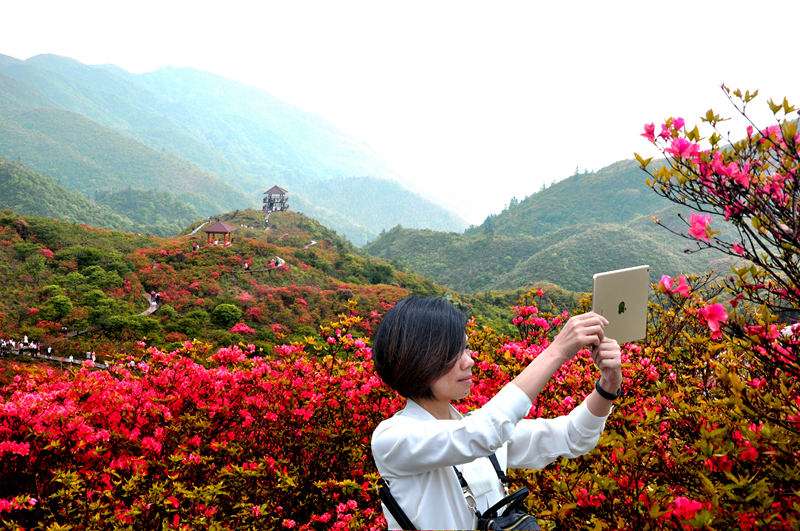 DSC_0634_副本_副本_副本.jpg