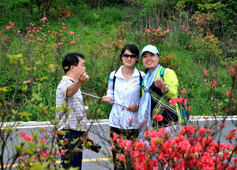 DSC_0697_副本_副本.jpg