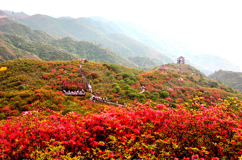 DSC_0715_副本_副本.jpg