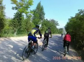 7.webp.jpg