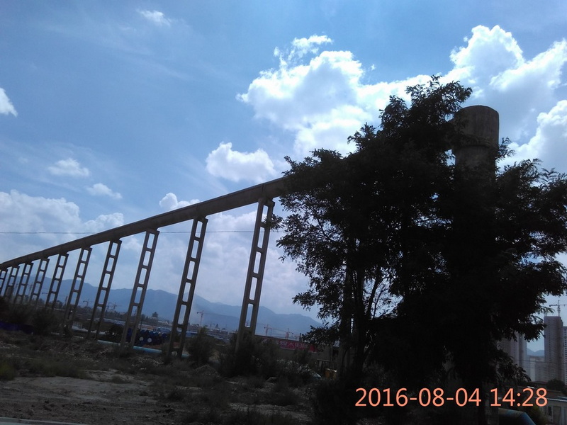 IMG_20160804_142855.jpg