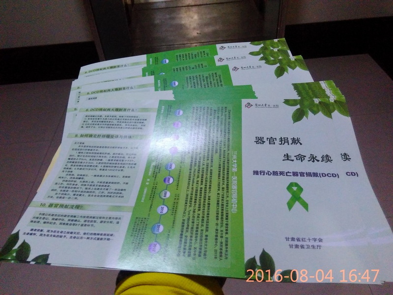 李主任给的专业宣传材料