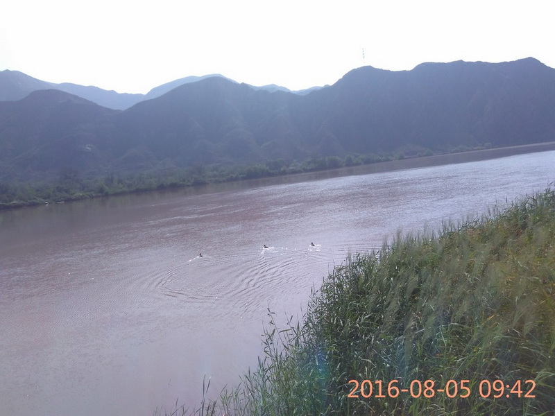 出了西固是河川口