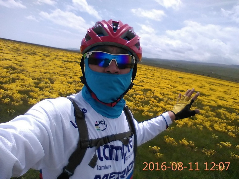 黄野花
