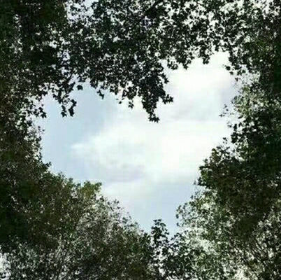 119542