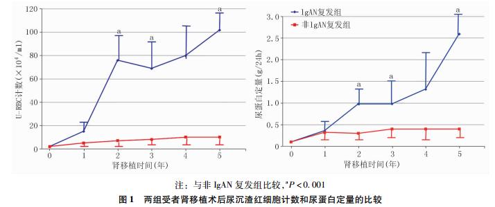 1 肾移植术后IgA肾病复发并非总是良性预后.jpg