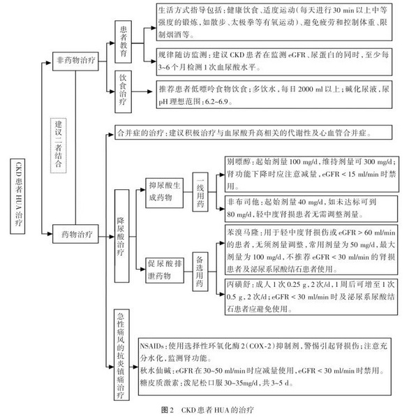 中国慢性肾脏病患者合并高尿酸血症诊治专家共识-2 图2.jpg