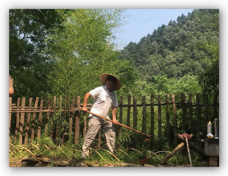 文革学农.jpg